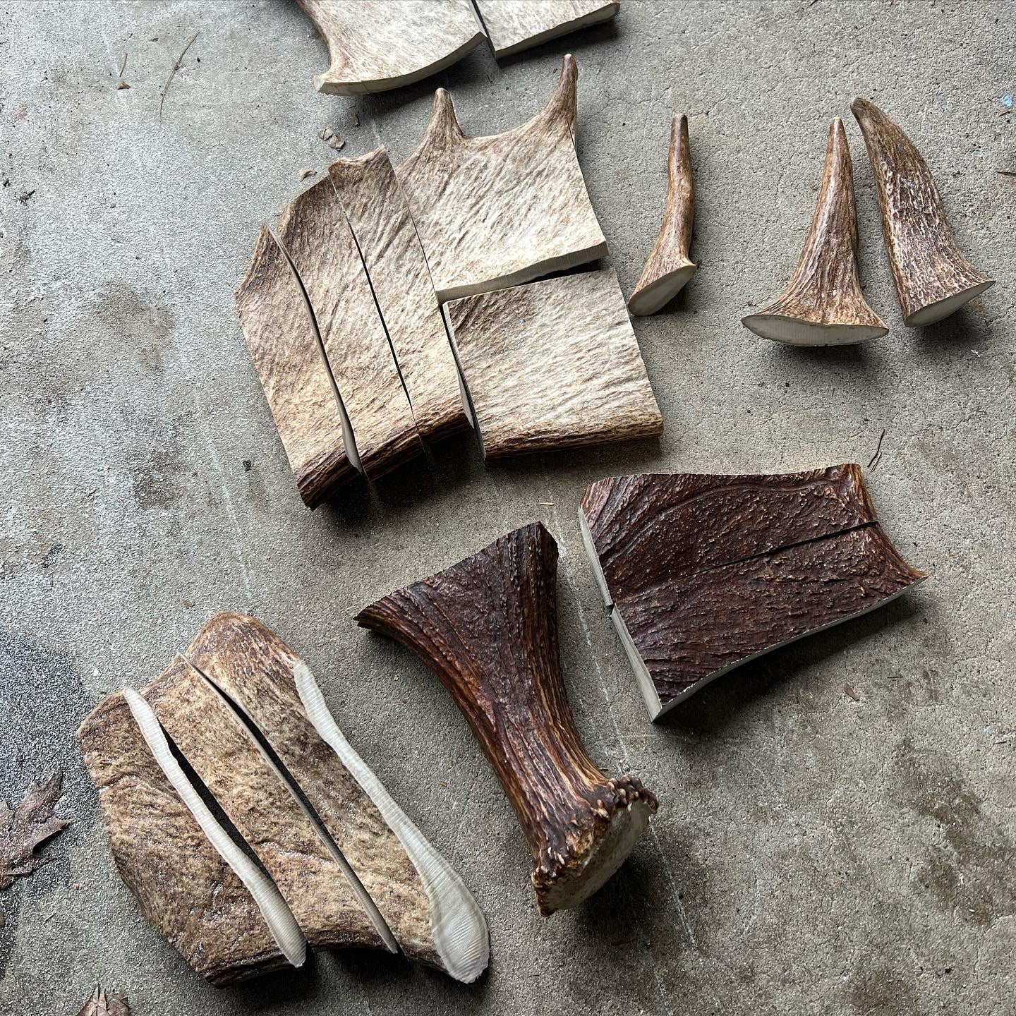 Moose Antler Dog Chews