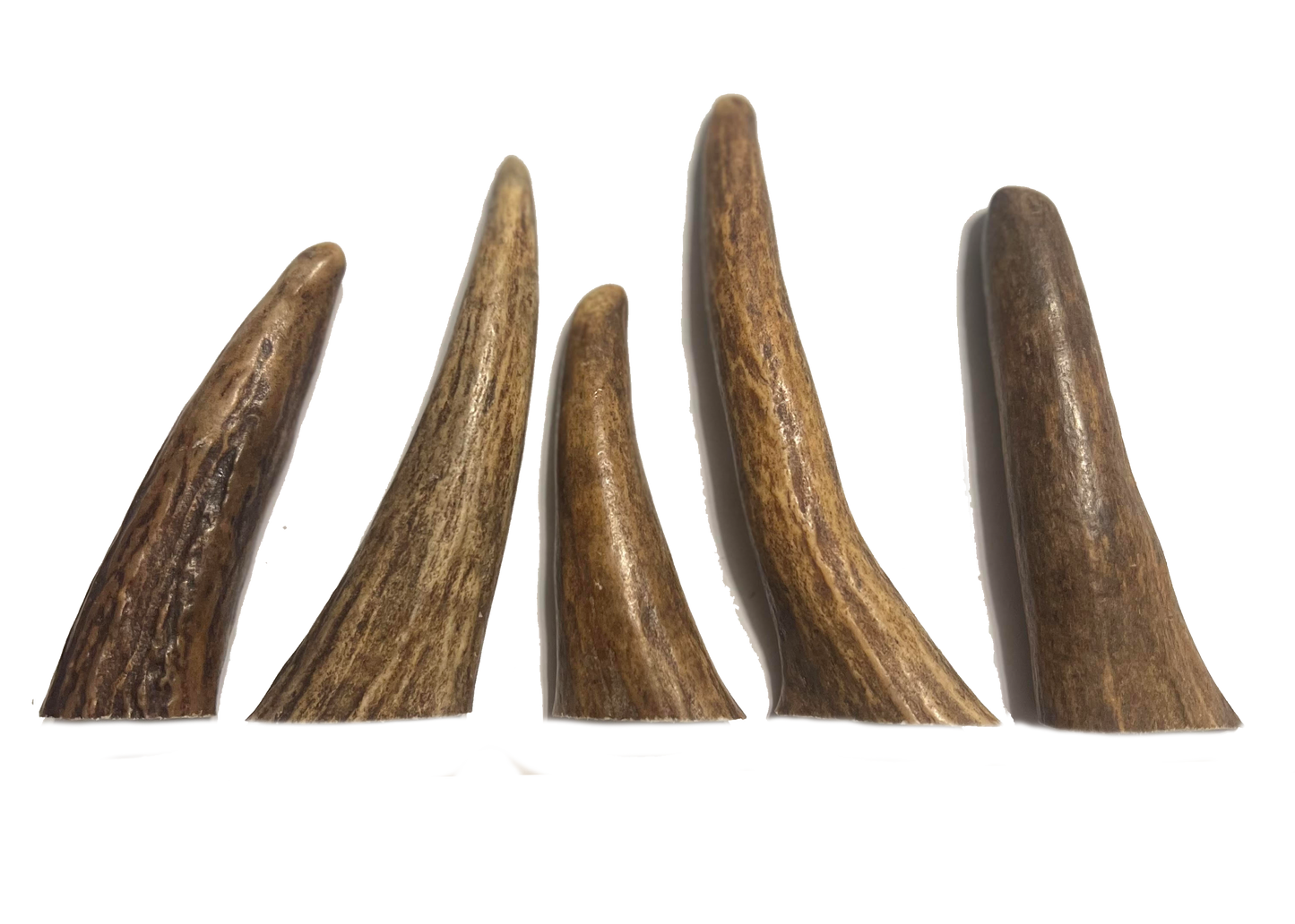 Small Tine Chew